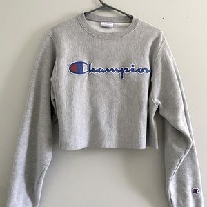 Champion sweatshirt, gray, cropped, size small.